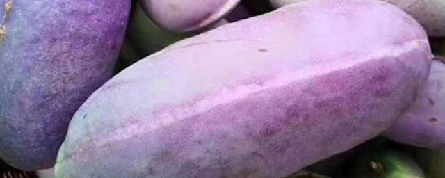 八月瓜不熟怎样催熟 八月瓜不熟怎样催熟