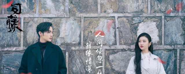 司藤中怎样会有两个司藤 司藤里两个司藤是怎样来的