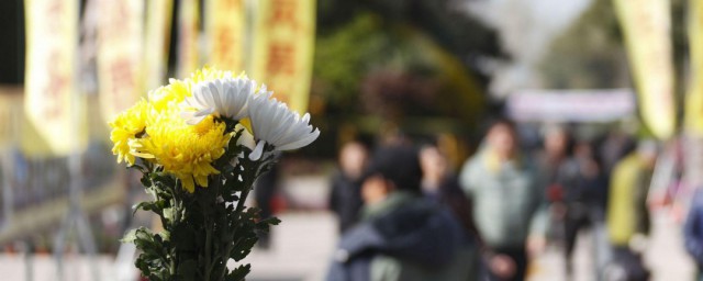 清明节祭祀 清明节祭祀介绍