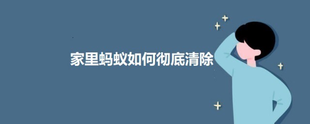 家里蚂蚁怎样彻底清除 蚂蚁彻底清除的技巧简介