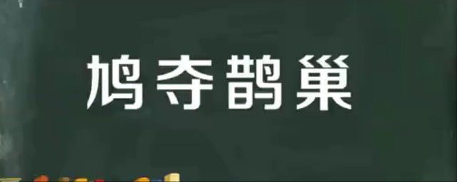 鸠夺鹊巢什么意思 鸠夺鹊巢怎么读