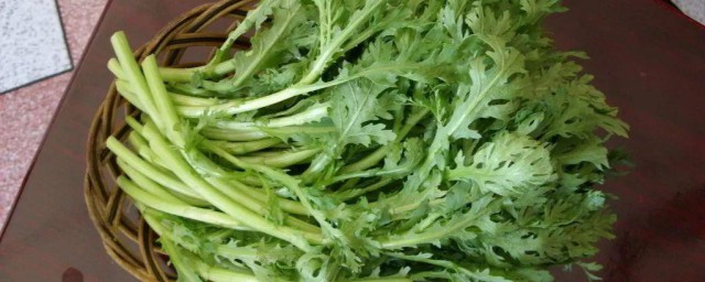 茼蒿菜苗水培技巧 茼蒿菜种子需要催芽吗