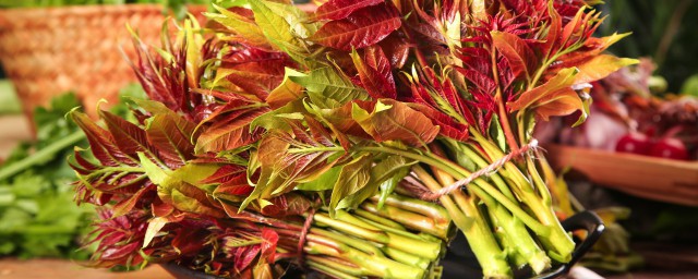 四川香椿芽的腌制技巧 美味的香椿怎样腌