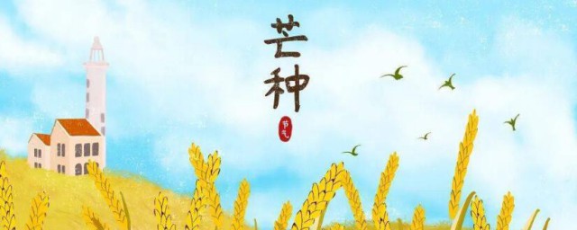 芒种节气的特征有哪些 芒种节气有什么特征