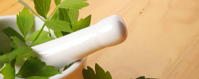 吃鲜当归叶时有什么需要注意的 吃鲜当归叶的忌讳