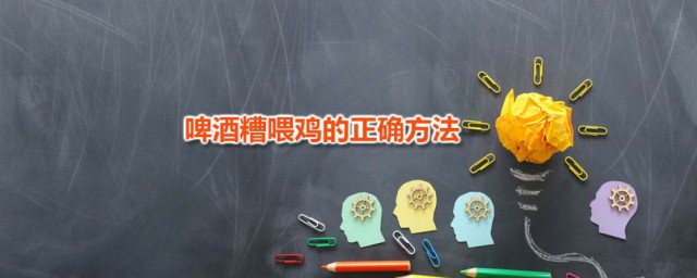 啤酒糟喂鸡的精确技巧 啤酒糟喂鸡要注意什么