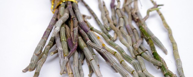 种植铁皮石斛技巧 铁皮石斛怎样种植