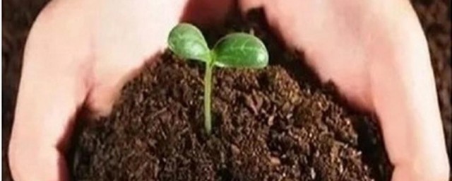 种花的土怎样配松软 种花配土技巧