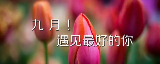 早安语简短温暖一句话九月 九月早安语简短温暖一句话简单简介