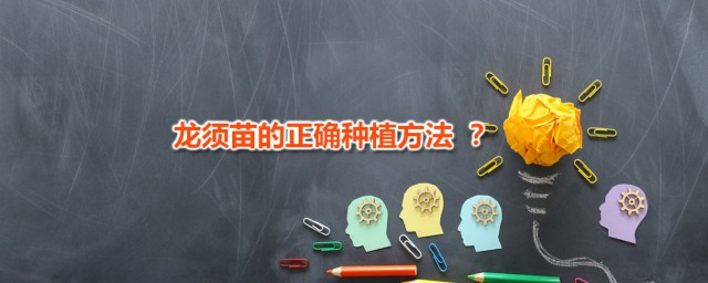 龙须苗的精确种植技巧 龙须树怎样繁殖