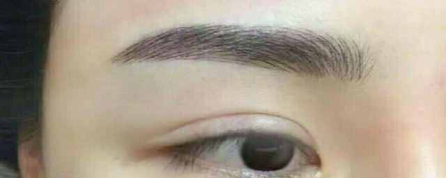 女人用眉贴的准确方式 女人用眉贴的正确方式简单介绍