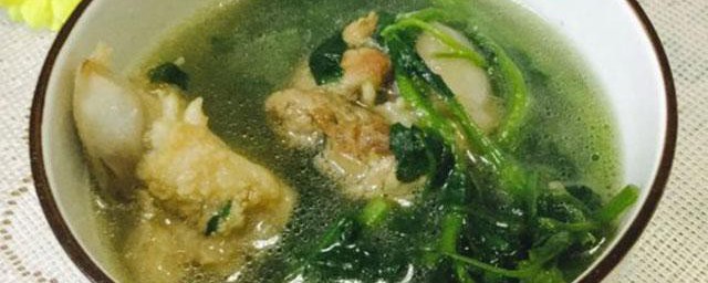 西洋菜猪骨汤 西洋菜猪骨汤做法简介