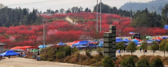 苏山坪在巴中哪里 苏山坪在巴中的位置