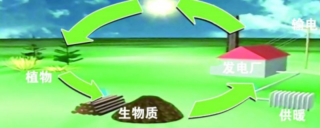 生物质能源有哪些种类 生物质能源种类简单介绍