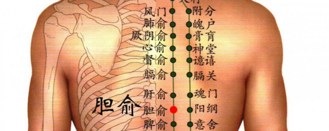 大肠俞的准确位置和作用 大肠俞穴的准确位置图和作用
