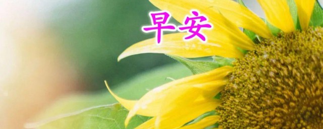 三月最后一天发的可爱早安说说 三月最后一天发的可爱早安说说 有哪些