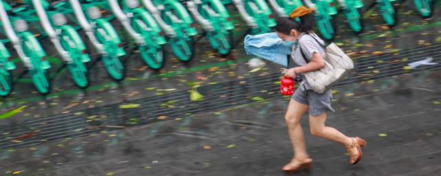 台风暴雨时在野外要格外注意哪些危险 台风暴雨时在野外的注意事项