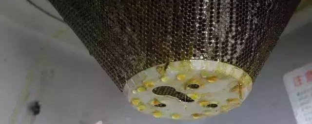 自己能清洗油烟机吗 清洗油烟机的方法介绍