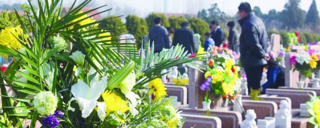 清明节扫墓需要买哪些物品 清明节扫墓需要买的物品简介