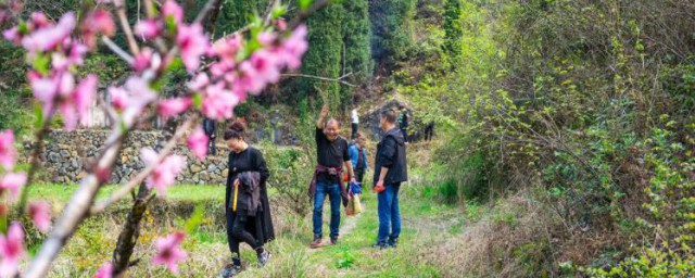 清明节是有没有踏青郊游的 清明节可以踏青吗