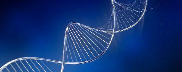 dna分子是什么结构 dna分子结构的介绍