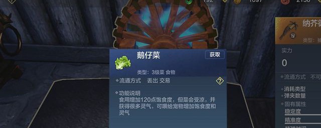 鹅仔菜怎样弄 鹅仔菜制作技巧