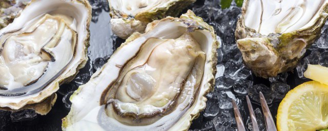 生蚝不能跟什么同食 哪些食物不能和生蚝一起吃