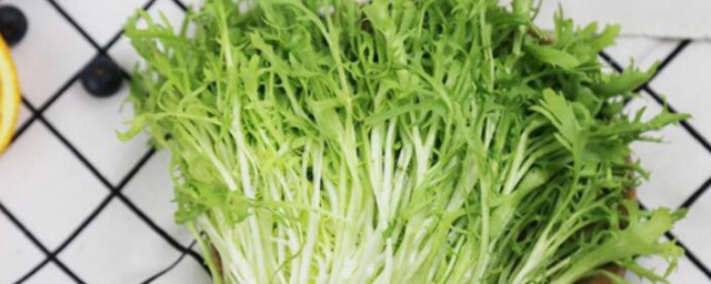 苦菊的吃法和禁忌 苦菊怎样吃