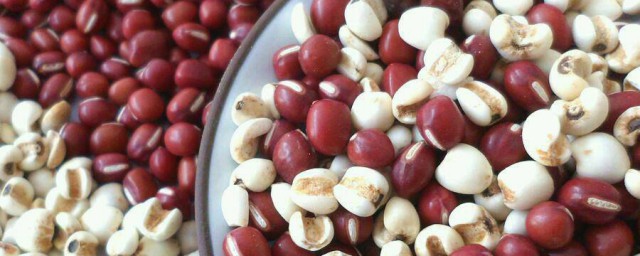 赤小豆薏米去湿气怎样做 赤小豆薏米去湿气的做法