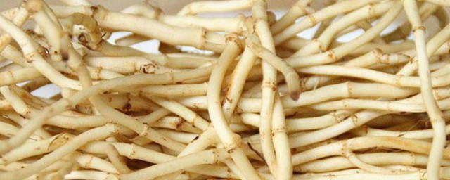 鱼腥草怎样保存才能长久 鱼腥草保存长久的技巧简介