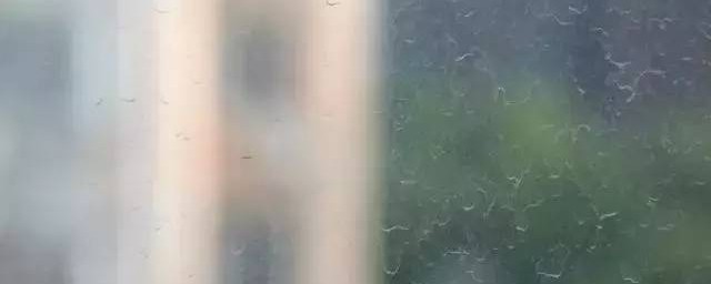 玻璃用什么擦干净又不容易脏 擦玻璃的技巧