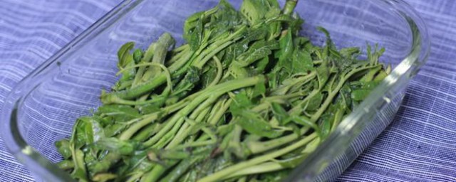 腌香椿芽的做法 腌香椿芽怎样做