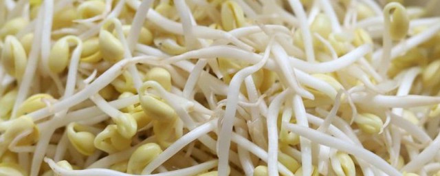 豆芽放冰箱里出水了 豆芽放冰箱里出水了还可以吃吗