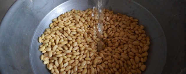豆腐用黄豆怎样做 用黄豆做豆腐技巧简介