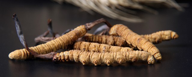 兰州冬虫夏草长期保存要领 详解冬虫夏草保存要领