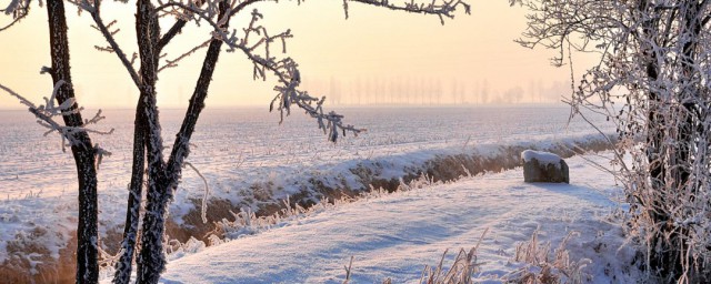 田野里白雪茫茫的诗句是什么 描写田野里白雪茫茫的诗句有哪些