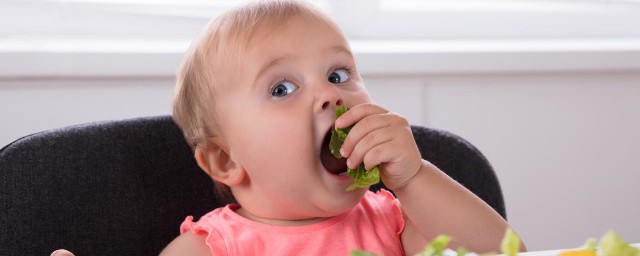 2岁宝宝白菜辅食怎样做 大白菜怎样做给宝宝吃