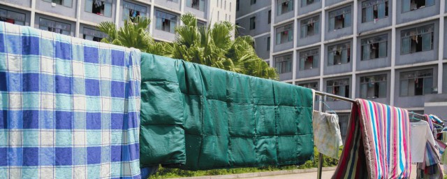 被子螨虫用什么要领可以除掉 去除被子螨虫的方法