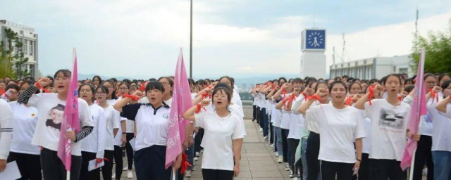 拼搏白天是什么梗 拼搏白天梗的出处介绍