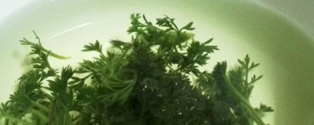 怎样用茵陈泡水喝茵陈泡水喝详解 用茵陈泡水喝的技巧