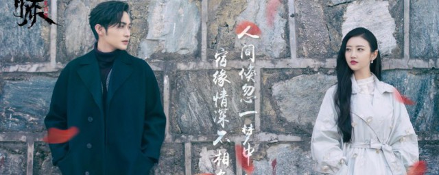 司藤剧情简介 电视剧司藤讲的是什么内容