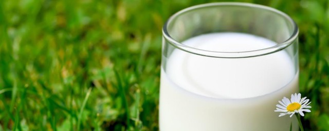 鲜牛乳是什么 鲜牛乳介绍