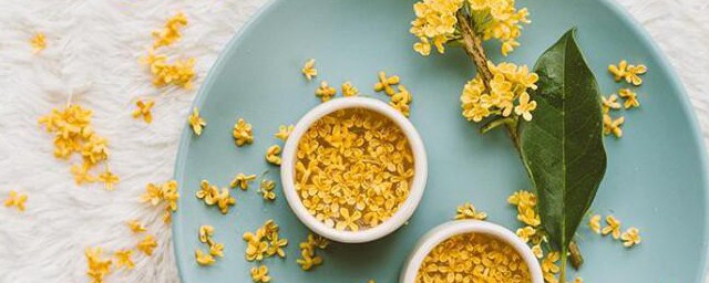 桂花籽可以直接泡茶吗 桂花籽可不可以直接泡茶