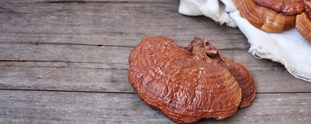灵芝肉骨汤的做法 灵芝肉骨汤的烹饪方法
