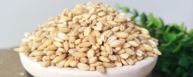 小麦米的功效与作用 小麦米有何功效与作用