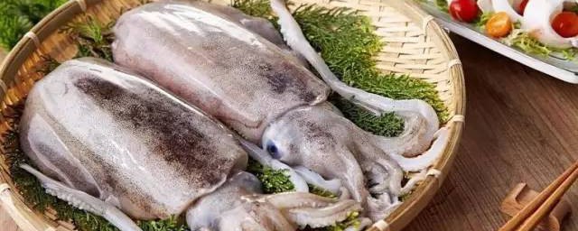 墨鱼的功效和营养价值及禁忌 墨鱼的功效和营养价值及禁忌简介