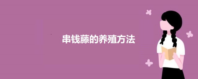 串钱藤的养殖方法 串钱藤怎么养殖