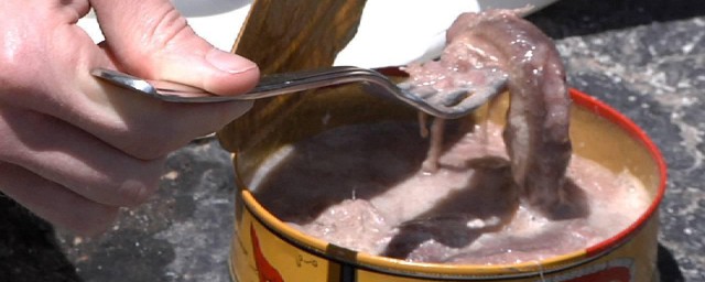 鲱鱼的腌制要领 鲱鱼的腌制要领是什么