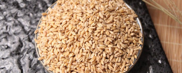 小麦泡水喝的精确技巧 怎样用小麦泡水喝