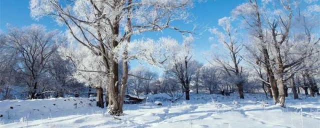 雪中送炭锦上添花哲理 雪中送炭锦上添花的意思